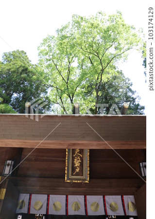 Mythical Village Takachiho Amano Iwato Shrine 103174129