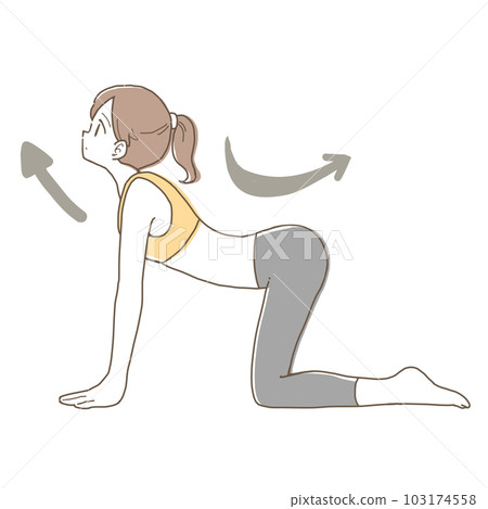 Illustration of yoga women's "cat pose" Illustration of yoga women's "cat pose" 103174558