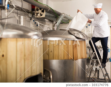 Brewer pouring malted grain from bag into fermenter to produce beer 103174776