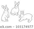 一隻逼真的兔子的插圖各種姿勢 103174977