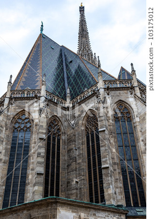 St. Stephen Cathedral Stephansdom in Stephansplatz in Vienna Austria 103175012