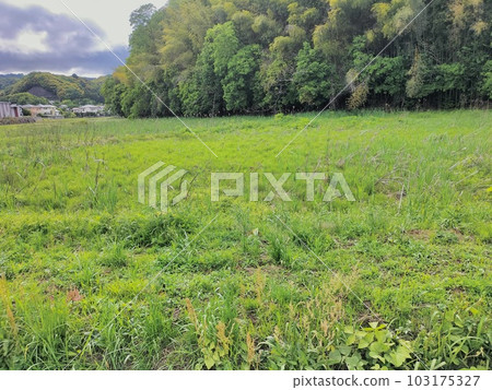 Scenery of abandoned farmland 103175327