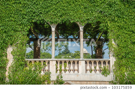 The beautiful view of Medici court in Italian Renaissance garden of Hamilton gardens an iconic famous place in Hamilton, New Zealand. 103175859