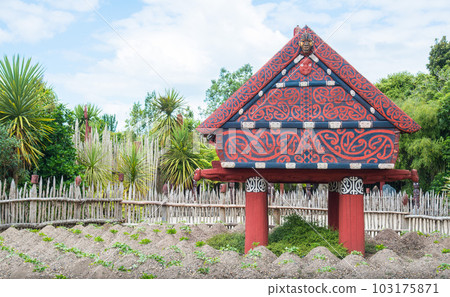 Te Parapara the traditional Maori garden in Hamilton gardens an iconic garden in Hamilton, New Zealand. 103175871