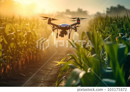 A drone spraying fertilizer in a corn field with Ai Generator 103175872