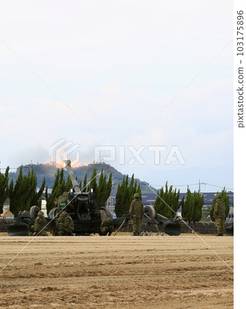 Cannon Cannon 103175896