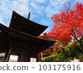 Autumn leaves and Tahoto pagoda at Yoshimine-ji Temple 103175916