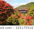 Kiyomizu-dera main hall with autumn leaves 103175918