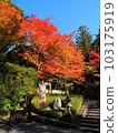 Imakumano Kannonji temple approach with autumn leaves 103175919