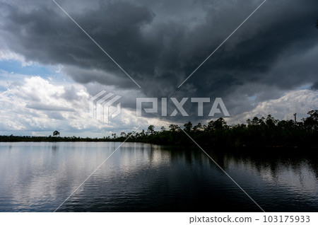 Dark storm clouds over Pine Glades Lake in Everglades National Park, Florida. 103175933