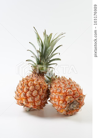 Snack pine (Bogor) fruit on a white background Snack pine (Bogor) fruit on a white background 103176989