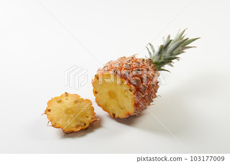 白色背景上的小吃松 (茂物) 水果 白色背景上的小吃松 (茂物) 水果 103177009