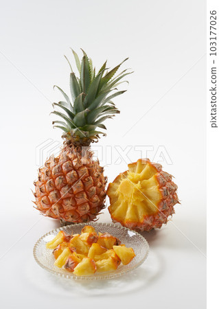 白色背景上的小吃松 (茂物) 水果 103177026