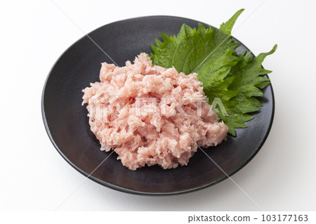 白色背景盤中供應的蔥金槍魚 白色背景盤中供應的蔥金槍魚 103177163