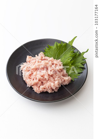 白色背景盤中供應的蔥金槍魚 103177164