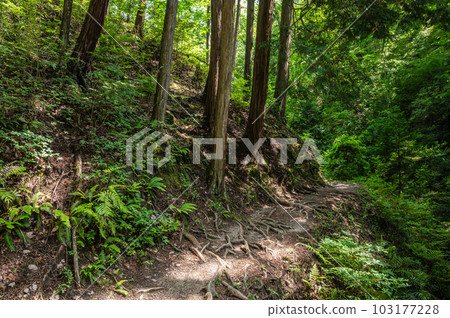 Fumin no Mori Hoshida Enchi Hiking Course 大阪府交野市 Fumin no Mori Hoshida Enchi Hiking Course 大阪府交野市 103177228