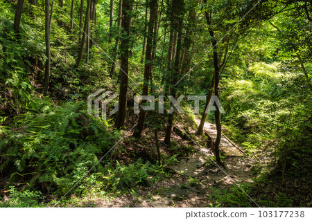 Fumin no Mori Hoshida Enchi Hiking Course 大阪府交野市 103177238