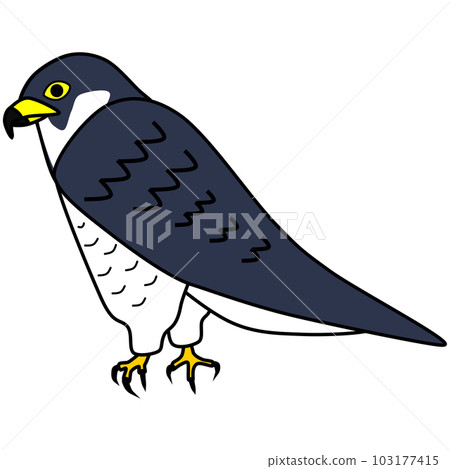 流行和可愛的獵鷹插圖 103177415