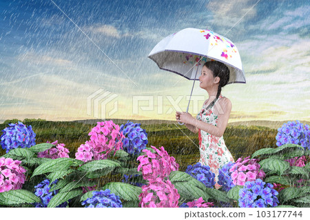 繡球花盛開的雨季撐傘行走的少女 103177744