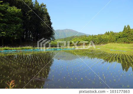 Bekku Terraced Rice Fields/Traced Rice Terraces Heritage Selected Area (Post 100 Selections of Terraced Rice Fields) [Betsunomiya, Yabu City, Hyogo Prefecture] 103177863