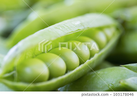 Green peas. Close up of green fresh peas and pea pods. 103178046