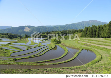 Bekku Terraced Rice Fields with a view of Mt. Hyono / Selected Heritage Area for Connecting Terraced Rice Fields (Post-100 Terraced Rice Fields) [Betsunomiya, Yabu City, Hyogo Prefecture] 103178084