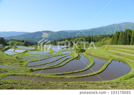 Bekku Terraced Rice Fields with a view of Mt. Hyono / Selected Heritage Area for Connecting Terraced Rice Fields (Post-100 Terraced Rice Fields) [Betsunomiya, Yabu City, Hyogo Prefecture] 103178085