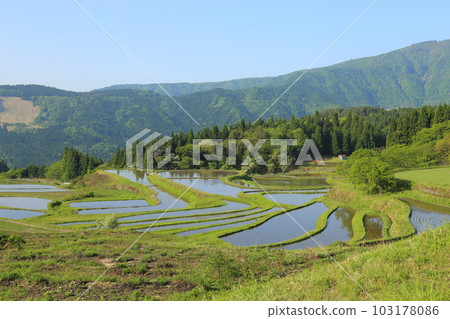 Bekku Terraced Rice Fields with a view of Mt. Hyono / Selected Heritage Area for Connecting Terraced Rice Fields (Post-100 Terraced Rice Fields) [Betsunomiya, Yabu City, Hyogo Prefecture] 103178086