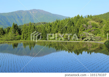 眺望兵野山的北九梯田/梯田連接遺產選定地區（後100梯田）[兵庫縣矢部市別宮] 103178107