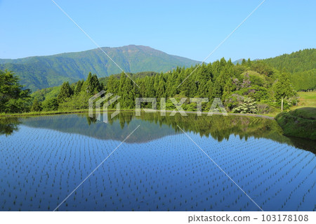 眺望兵野山的北九梯田/梯田連接遺產選定地區（後100梯田）[兵庫縣矢部市別宮] 103178108