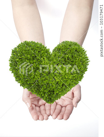 Image of thinking about the environment Image of thinking about the environment 103179471