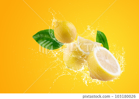 Creative layout made from Fresh Sliced lemon fruit and water Splashing on a green background. 103180026