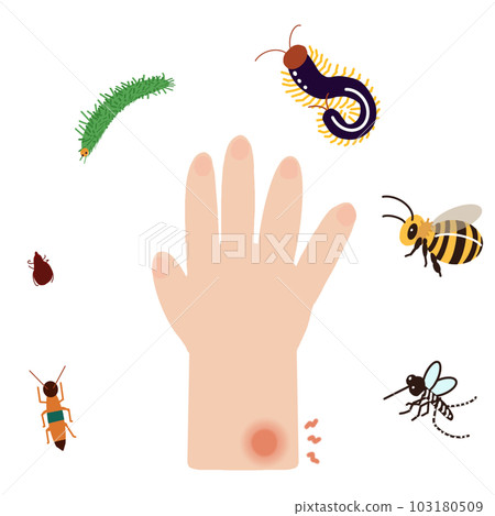 Familiar poisonous insect illustration set 103180509