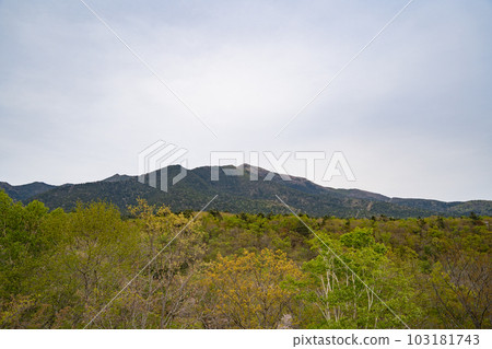 北海道薩馬尼町阿波伊山 103181743