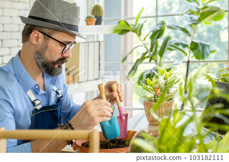 Hipster elderly men learn to take care of plants online with laptop, a hobby of urban home gardening after sustainable retirement Hipster elderly men learn to take care of plants online with laptop, a hobby of urban home gardening after sustainable retirement 103182111