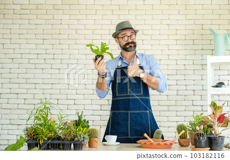 Hipster elderly men take care of the trees, a hobby of urban home gardening after sustainable retirement 103182116