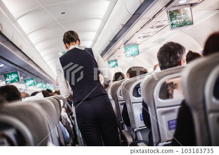 Interior of airplane with passengers on seats and stewardess in uniform walking the aisle, serving people. Commercial economy flight service concept 103183735