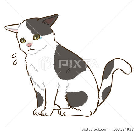 Sad cat (black and white striped pattern) 103184938