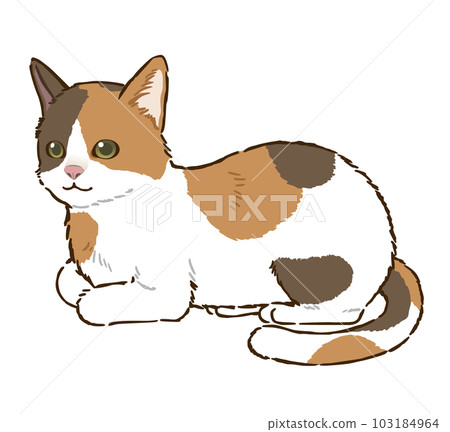 A cat sitting in an incense box (calico cat) A cat sitting in an incense box (calico cat) 103184964