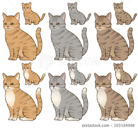 Cats of various colors (tiger pattern) 103184986