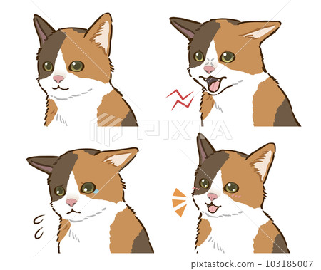 Cat emotions set (calico cat) 103185007
