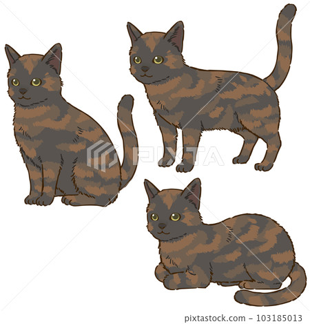 各種姿勢的貓（銹） 103185013
