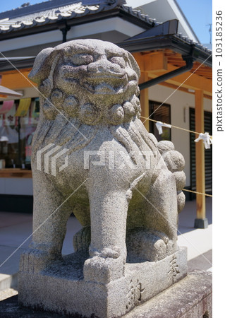 保留著七夕傳說的神社 - 星神社 Agata Komainu 1 103185236