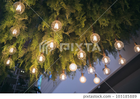 Light lamp and plant decoration ceiling design by hanging electric vintage bright bulb. Interior green leaf indoor background, flower natural style garden chandelier in modern home, cafe and 103185889