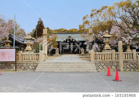 兵庫縣赤穗市赤穗岬櫻花季岩津姬神社全貌 兵庫縣赤穗市赤穗岬櫻花季岩津姬神社全貌 103185908