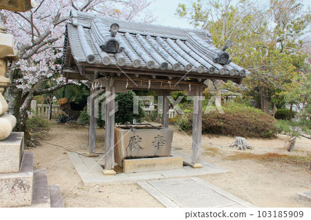 Iwatsu Hime Shrine's chozuya during the cherry blossom season (Ako Misaki, Ako City, Hyogo Prefecture) Iwatsu Hime Shrine's chozuya during the cherry blossom season (Ako Misaki, Ako City, Hyogo Prefecture) 103185909
