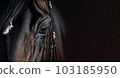 Portrait Young Black horse face isolated on black background , Generative Ai	 103185950