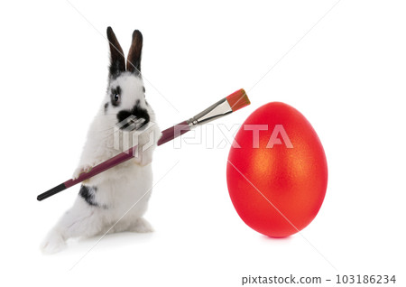 easter bunny with a brush paints an easter red egg 103186234