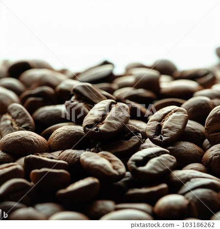 Coffee beans  103186262