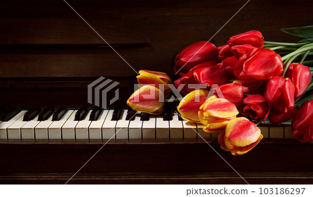 Tulips lie on the piano keys 103186297